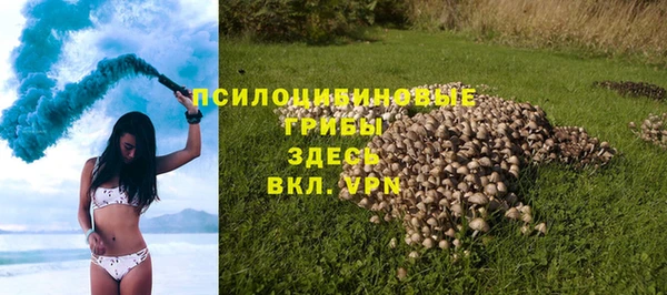 spice Арсеньев