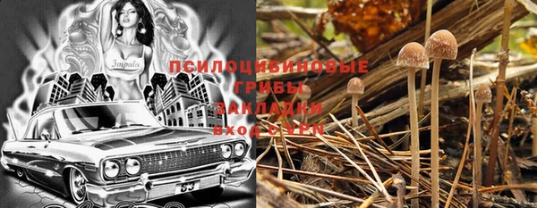 скорость Алексеевка