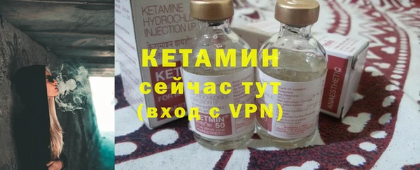 трава Аркадак