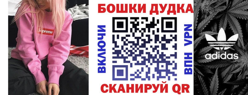 Бошки Шишки план Могоча